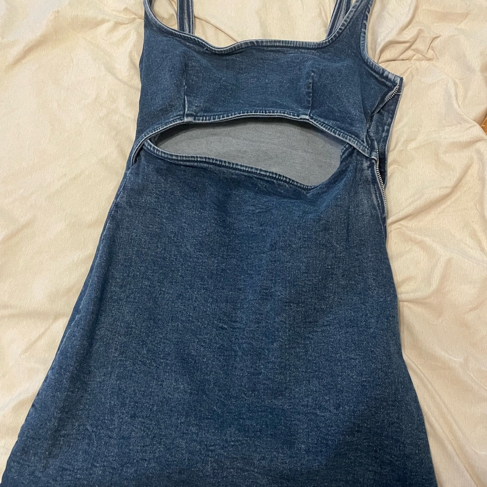 Zara dress